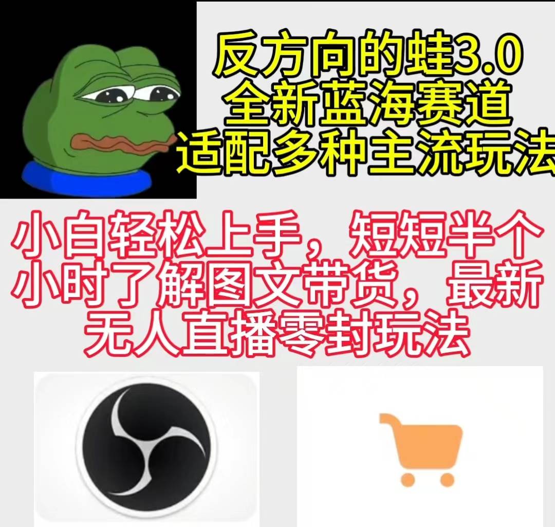 反方向的蛙3.0，图文最新玩法，变现多元化，新蓝海项目，小白轻松上手-小白搞钱