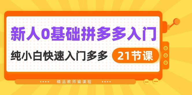 新人0基础拼多多入门，纯小白快速入门多多（21节课）-小白搞钱