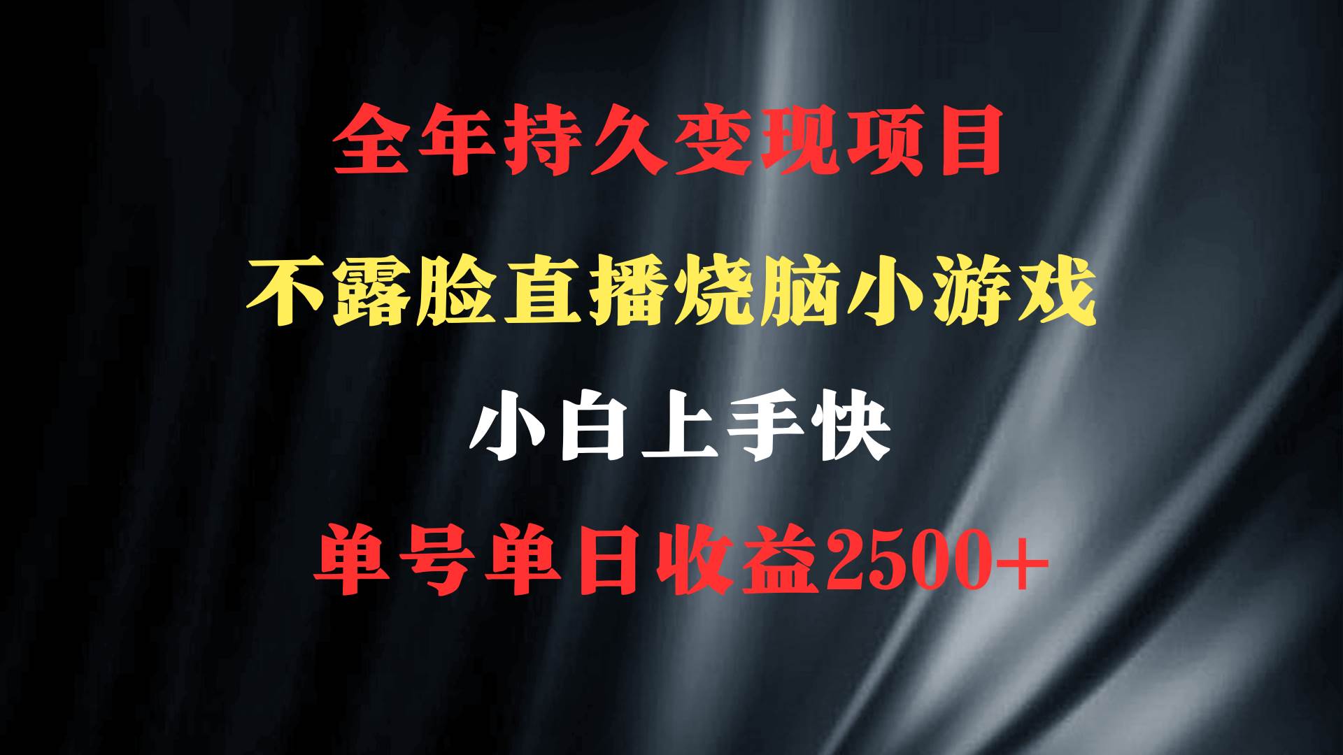 2024年 最优项目，烧脑小游戏不露脸直播  小白上手快 无门槛 一天收益2500+-小白搞钱