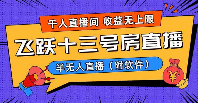 爆火飞跃十三号房半无人直播，一场直播上千人，日入过万！（附软件）-小白搞钱