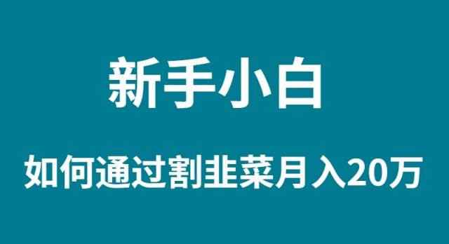新手小白如何通过割韭菜月入 20W-小白搞钱