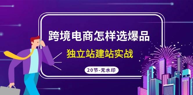 跨境电商怎样选爆品，独立站建站实战（20节高清无水印课）-小白搞钱
