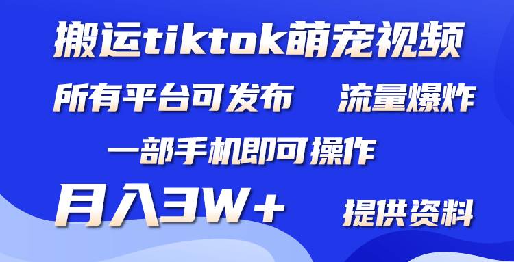 搬运Tiktok萌宠类视频，一部手机即可。所有短视频平台均可操作，月入3W+-小白搞钱
