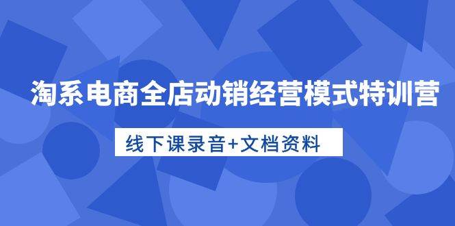淘系电商全店动销经营模式特训营，线下课录音+文档资料-小白搞钱