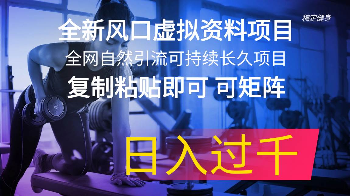 全新风口虚拟资料项目 全网自然引流可持续长久项目 复制粘贴即可可矩阵…-小白搞钱