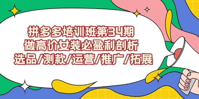 拼多多培训班第34期：做高价女装必盈利剖析  选品/测款/运营/推广/拓展-小白搞钱