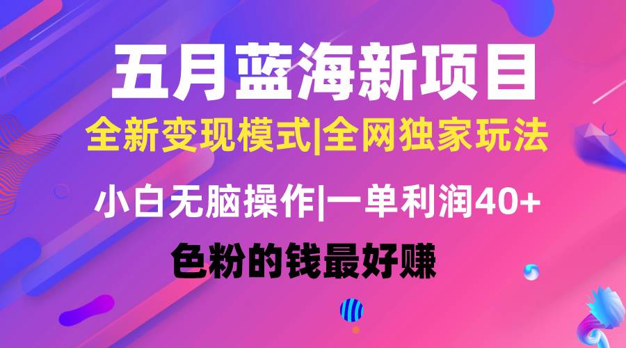 五月蓝海项目全新玩法，小白无脑操作，一天几分钟，矩阵操作，月入4万+-小白搞钱