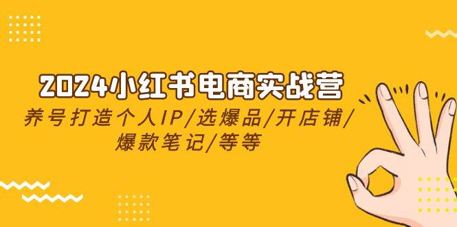 2024小红书电商实战营，养号打造IP/选爆品/开店铺/爆款笔记/等等（24节）-小白搞钱