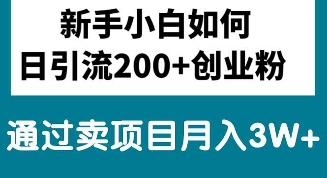 新手小白日引流200+创业粉,通过卖项目月入3W+-小白搞钱