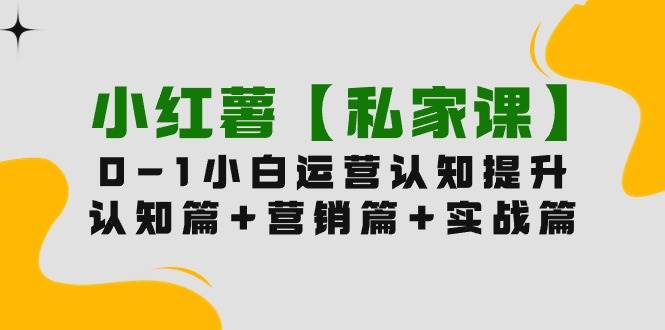 小红薯【私家课】0-1玩赚小红书内容营销，认知篇+营销篇+实战篇（11节课）-小白搞钱