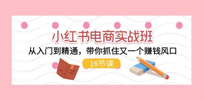 小红书电商实战班，从入门到精通，带你抓住又一个赚钱风口（16节）-小白搞钱