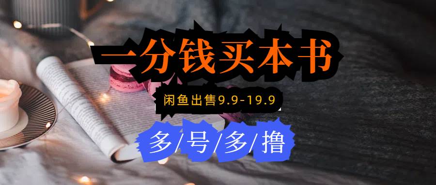 每天花1分钱买一本书，闲鱼出售9.9-19.9不等，多账号多撸 新手小白均可操作-小白搞钱