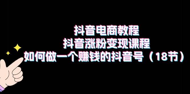 抖音电商教程：抖音涨粉变现课程：如何做一个赚钱的抖音号（18节）-小白搞钱