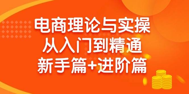 电商理论与实操从入门到精通 新手篇+进阶篇-小白搞钱