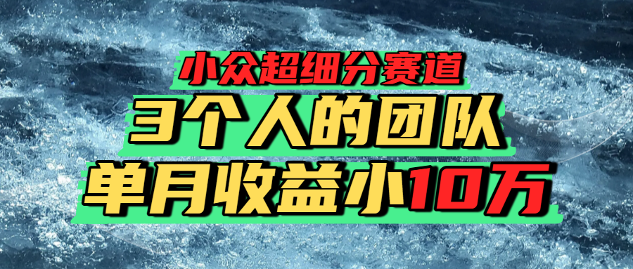 小众超细分赛道，一年百万利润的盘子！-小白搞钱
