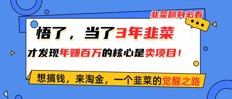 悟了，当了3年韭菜，才发现网赚圈年赚100万的核心是卖项目，含泪分享！-小白搞钱