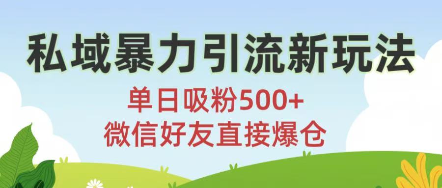 私域暴力引流新玩法!单日吸粉500+，微信好友直接爆仓-小白搞钱