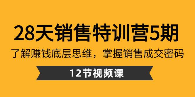 28天·销售特训营5期：了解赚钱底层思维，掌握销售成交密码（12节课）-小白搞钱