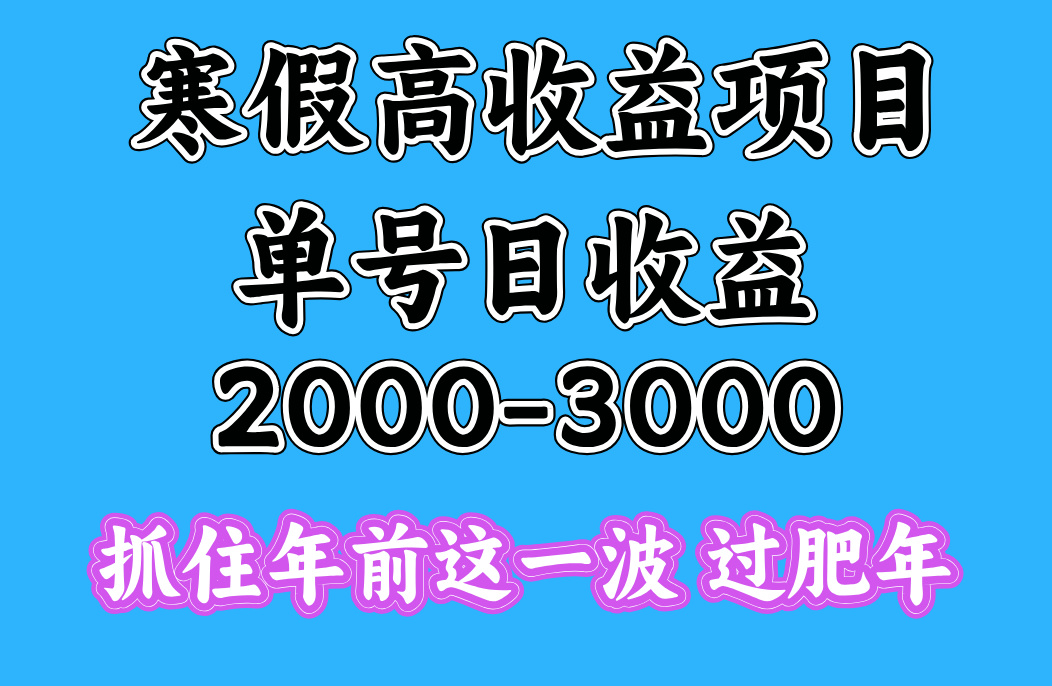 寒假期间一天收益2000-3000+，抓住年前这一波-小白搞钱