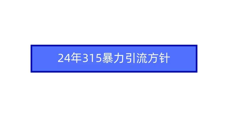 2024年315暴力引流方针-小白搞钱