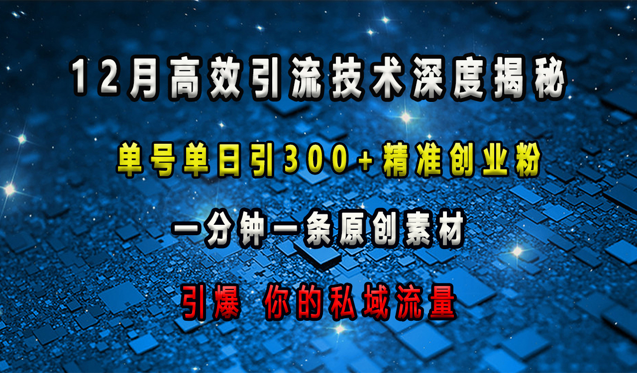 12月高效引流技术深度揭秘 ，单号单日引300+精准创业粉，一分钟一条原创素材，引爆你的私域流量-小白搞钱