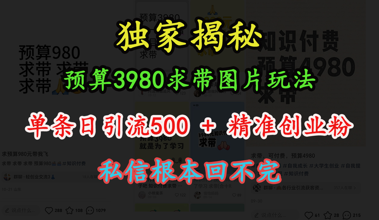“小红书”预算3980求带 图片玩法，单条日引流500+精准创业粉，私信根本回不完-小白搞钱