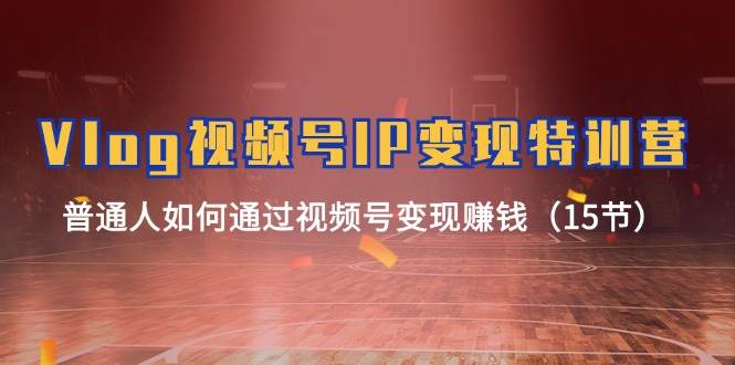 Vlog 视频号IP变现特训营，普通人如何通过视频号变现赚钱（15节）-小白搞钱