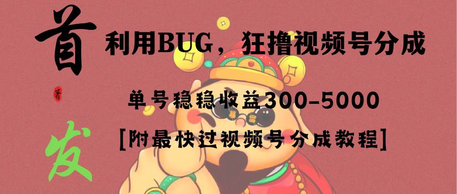 全网独家首发，视频号BUG，超短期项目，单号每日净收益300-5000！-小白搞钱