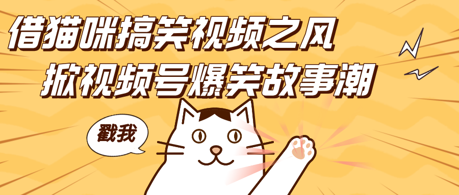 借猫咪搞笑视频之风，掀视频号爆笑故事潮，轻松日赚四位数，开启无门槛赚钱新体验！-小白搞钱