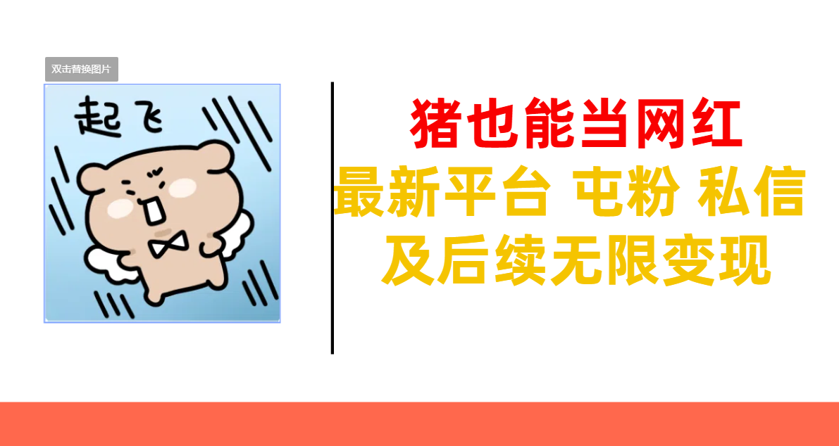 猪也能当网红-最新平台 屯粉 交流 私信 及后续无限变现-小白搞钱