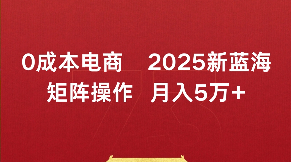 0成本电商2025新蓝海矩阵操作 月入5万+-小白搞钱