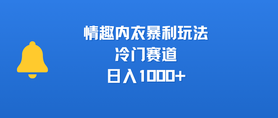 情趣内衣暴利玩法，冷门赛道，日入1000+-小白搞钱