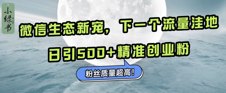 微信生态新宠小绿书：下一个流量洼地，粉丝质量超高，日引500+精准创业粉，-小白搞钱