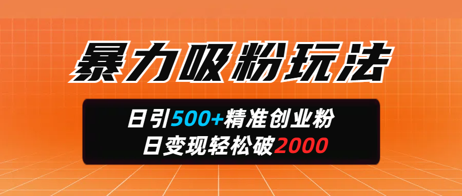 暴力吸粉玩法，日引500+精准创业粉，日变现轻松破2000-小白搞钱