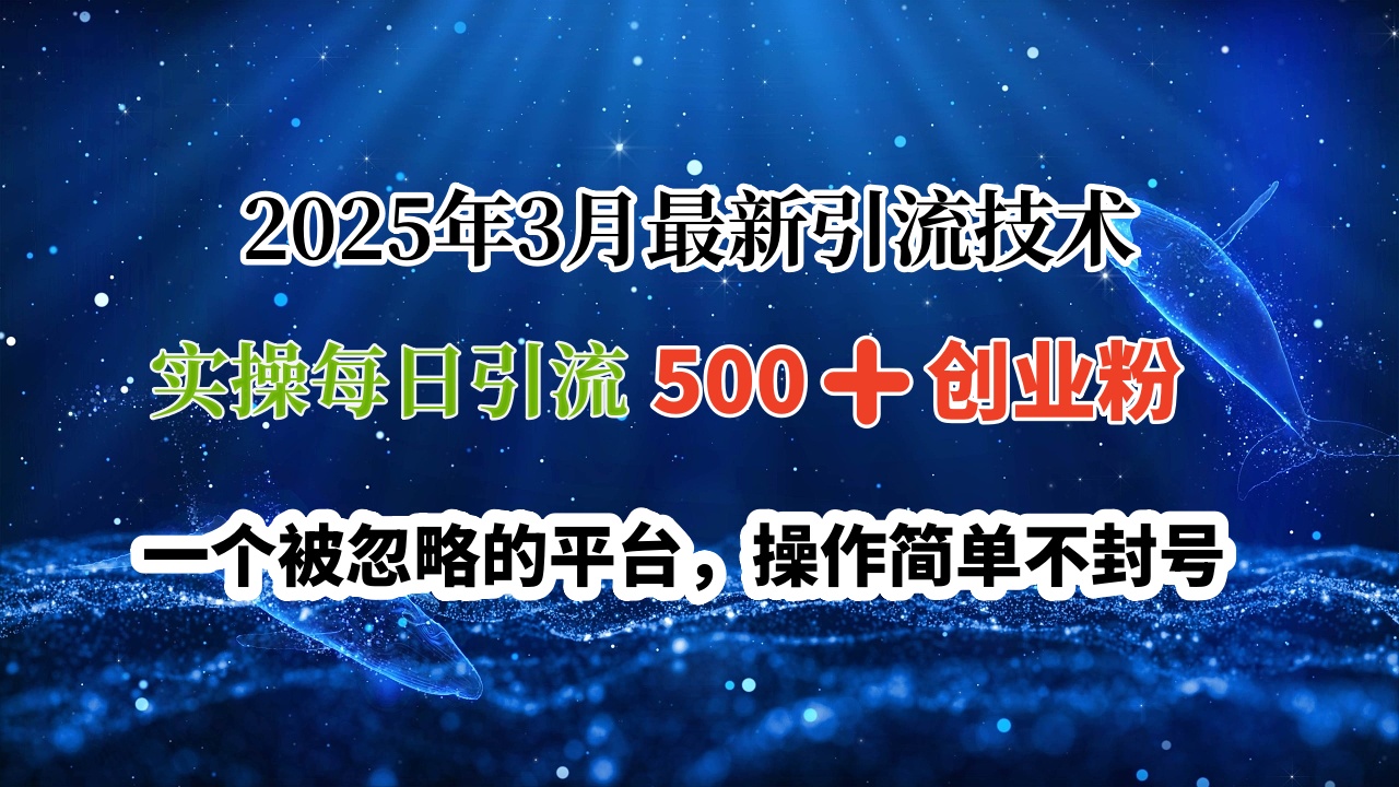 2025年3月最新引流技术，实操每日引流500➕创业粉，一个被忽略的平台，操作简单不封号-小白搞钱