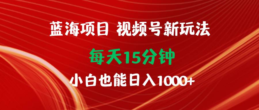 蓝海项目视频号新玩法 每天15分钟 小白也能日入1000+-小白搞钱