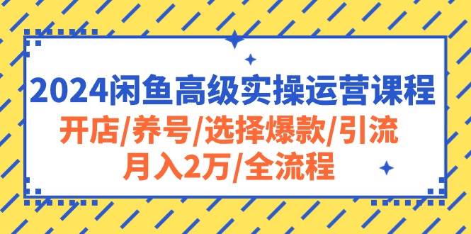 2024闲鱼高级实操运营课程：开店/养号/选择爆款/引流/月入2万/全流程-小白搞钱
