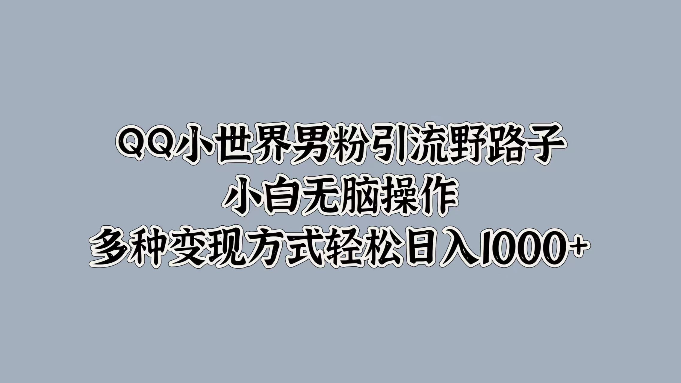 QQ小世界男粉引流野路子，小白无脑操作，多种变现方式轻松日入1000+-小白搞钱