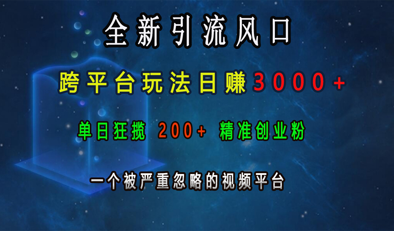 全新引流风口，跨平台玩法日赚3000+，单日狂揽200+精准创业粉，一个被严重忽略的视频平台-小白搞钱