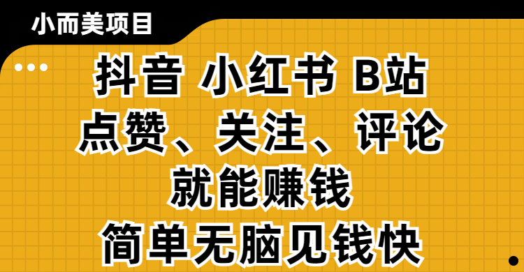 小而美的项目，抖音、小红书、B站视频点赞、关注、评论就能赚钱，简单无脑立见收益！妥妥的零撸项目-小白搞钱