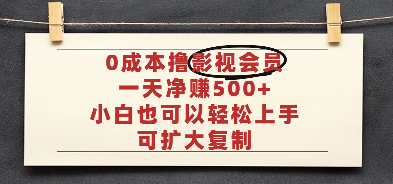 亲测，0成本可批量操作，靠卖影视会员实测月入30000+-小白搞钱