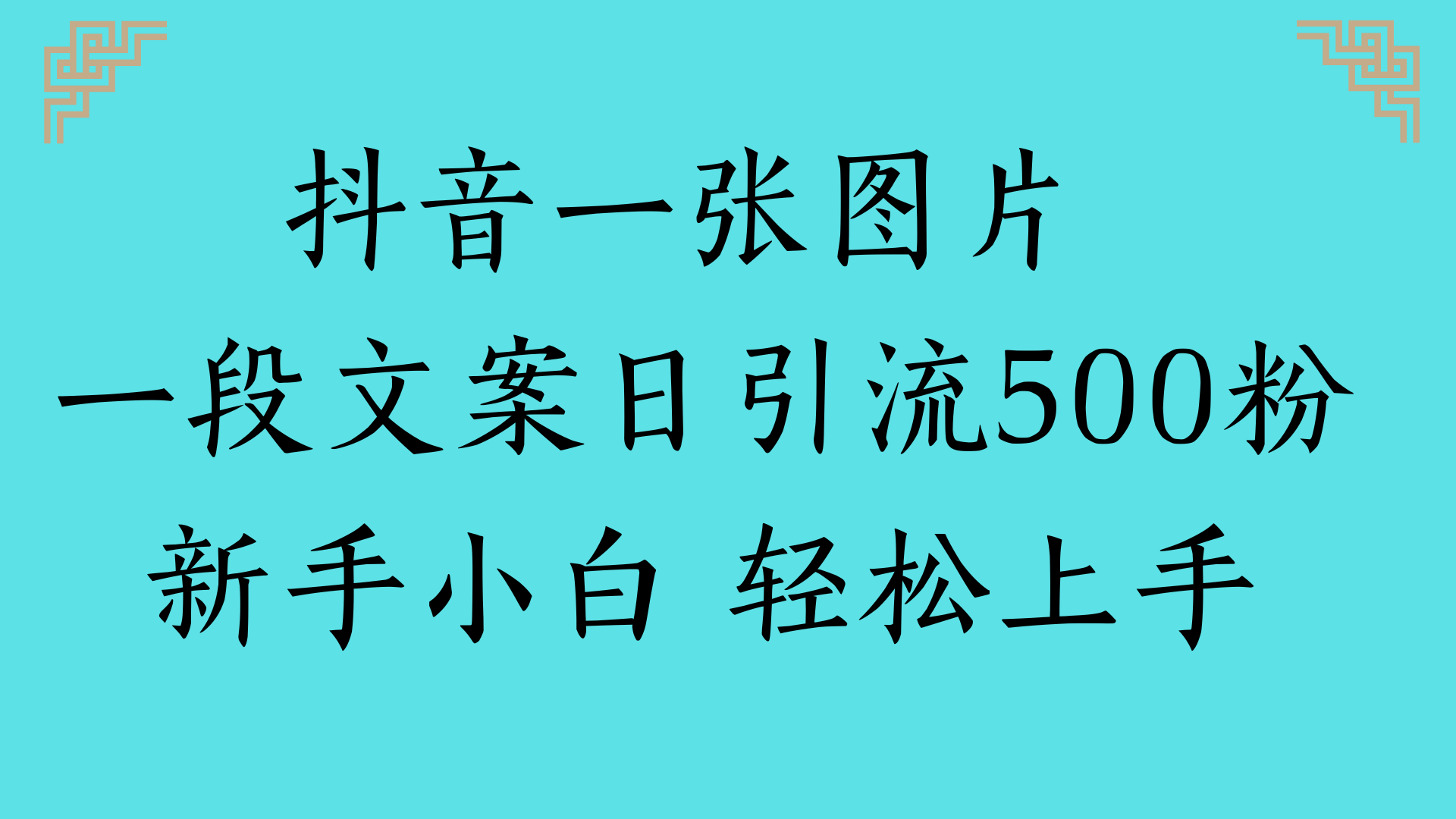 抖音一张图片 一段文案日引流500粉新手小白 轻松上手-小白搞钱