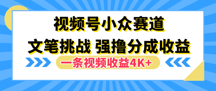 视频号小众赛道，文笔挑战，一条视频收益4K+-小白搞钱