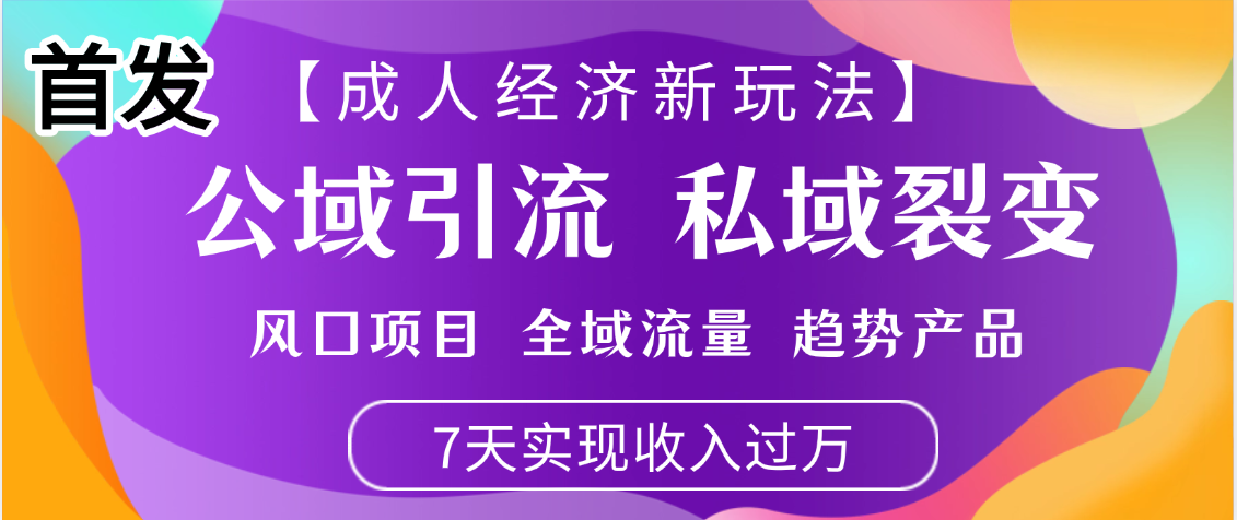 首发：【成人经济新玩法】市面独家玩法，风口项目、全域流量、趋势产品，7天实现月入过万-小白搞钱