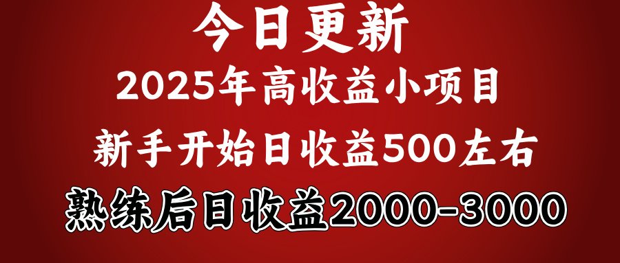 2025开年好项目，新手日收益500+ 熟练掌握后，日收益平均2000多-小白搞钱