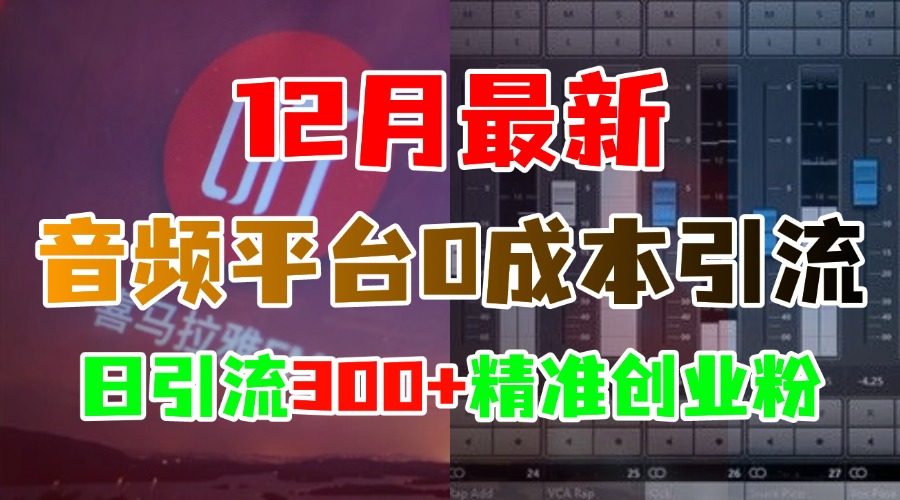 12月最新：音频平台0成本引流，日引300+精准创业粉-小白搞钱