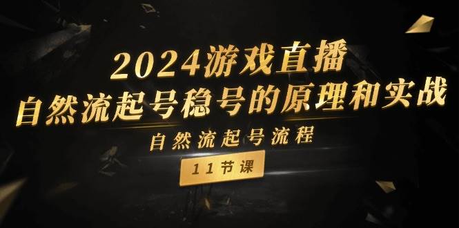2024游戏直播-自然流起号稳号的原理和实战，自然流起号流程（11节）-小白搞钱