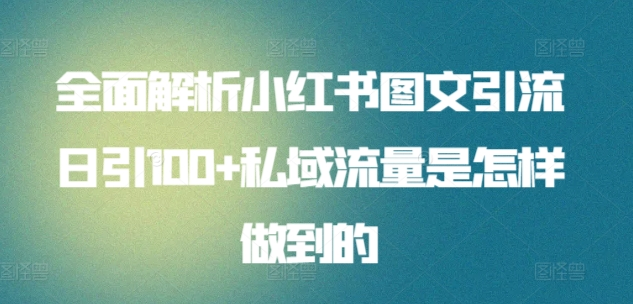 暴力引流 小红书图文引流日引100私域全面拆解【打粉人必看】-小白搞钱