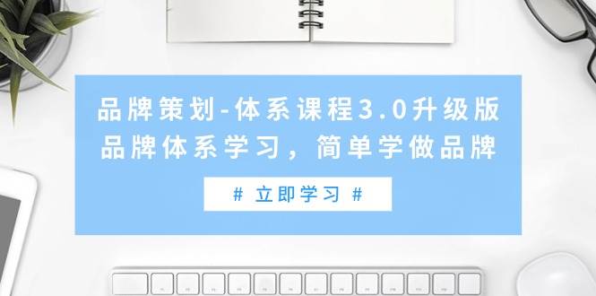 品牌策划-体系课程3.0升级版，品牌体系学习，简单学做品牌（高清无水印）-小白搞钱