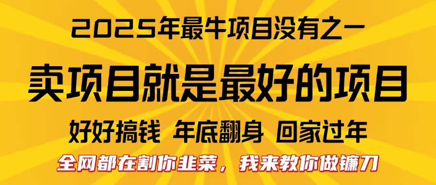 全网都在割你韭菜，我来教你做镰刀。卖项目就是最好的项目，2025年最牛互联网项目-小白搞钱